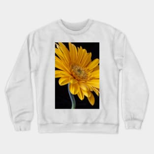 Curvy Yellow Gerbera Daisy Crewneck Sweatshirt